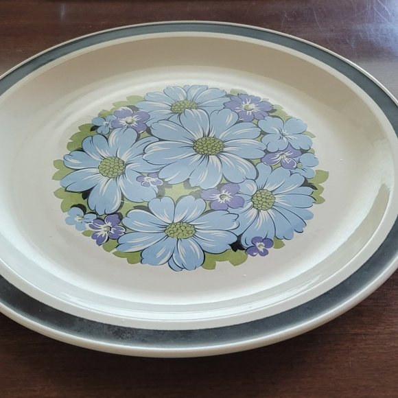 Decorated Stoneware Japan Blue Shasta Dishwasher Oven Safe - Picture 2 of 6